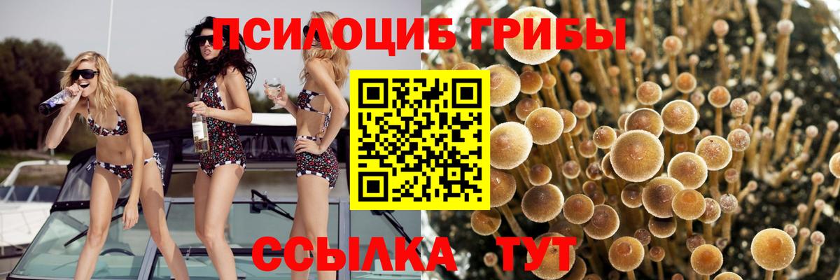 Псилоцибиновые грибы мухоморы Усть-Илимск